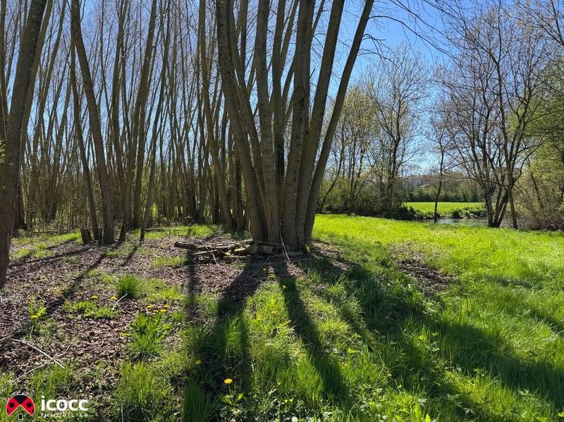 Terrain de loisirs - 3 255 m²