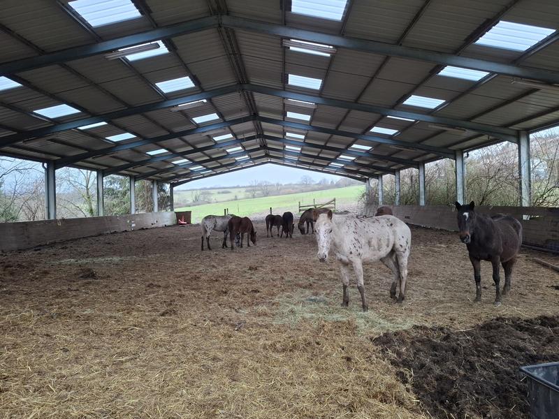 Maison - 117 m² - 4 pièces