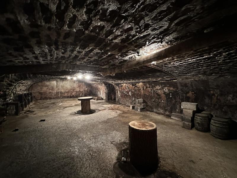 Maison ancienne - 225 m² - 6 pièces