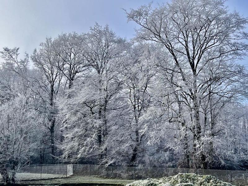 Maison - 231 m² - 7 pièces