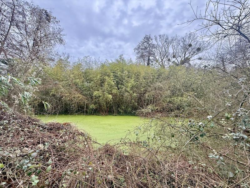 Maison - 49 m² - 2 pièces