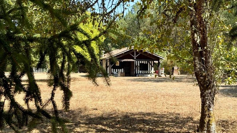 Maison - 131 m² - 5 pièces