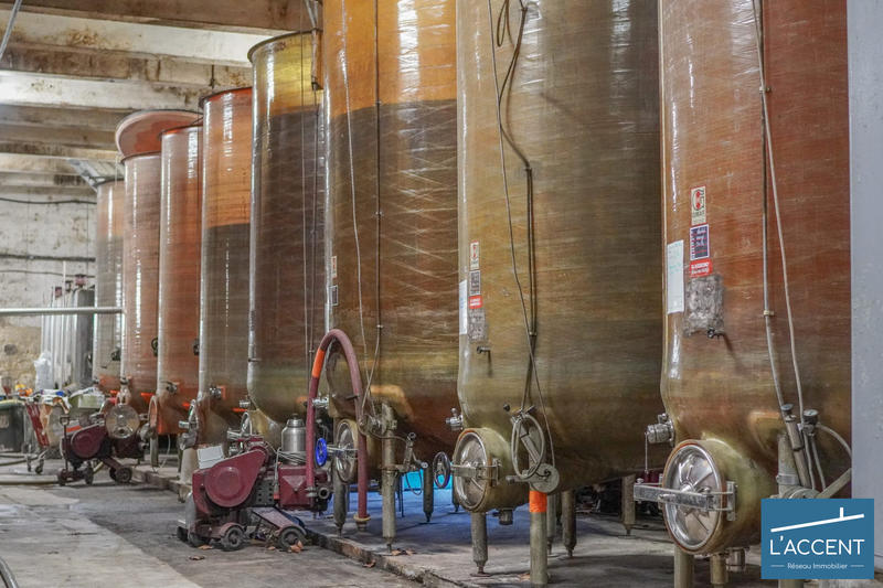 Château - 3 038 m² - 55 pièces