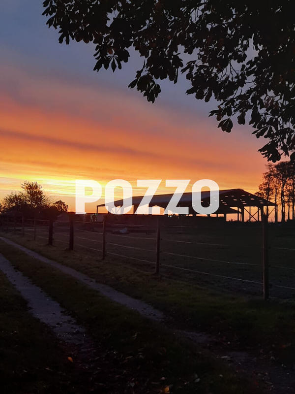 Maison de domaine équestre - 1 500 m² - 2 pièces