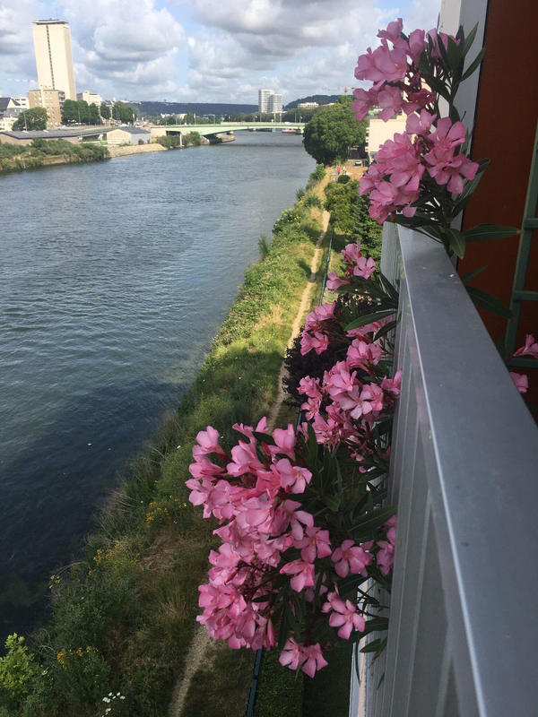 Appartement - 93 m² - 5 pièces