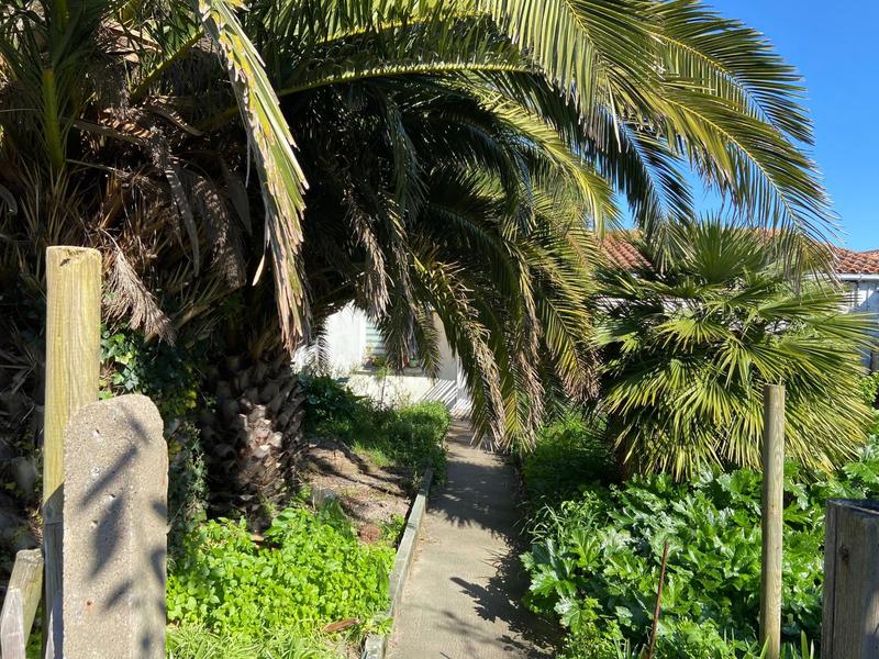 Local commercial - 685 m²