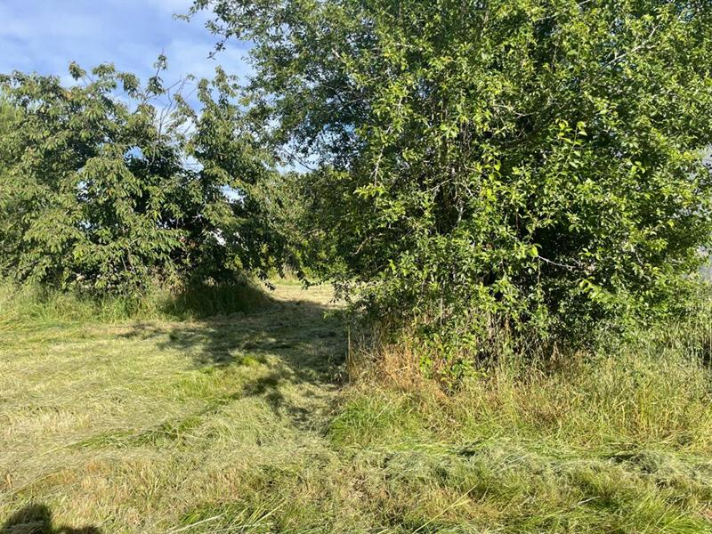 Terrain constructible - 810 m²