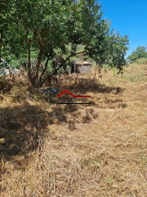 Terrain agricole - 5 787 m²