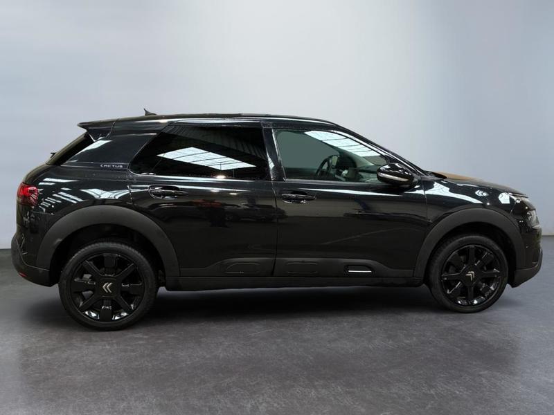 Citroën C4 Cactus Business PureTech 130 s&amp;S Bvm6 Shine