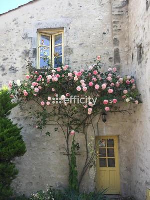 Maison - 307 m² - 10 pièces