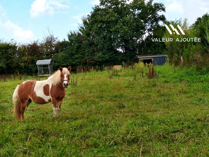 Maison - 138 m² - 7 pièces