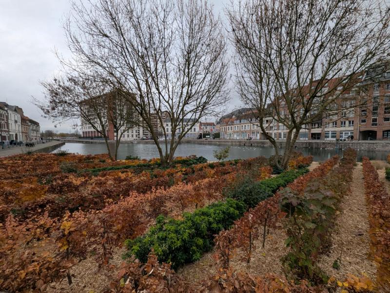 Appartement - 136 m² - 7 pièces