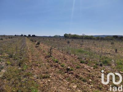 Terrain - 13 690 m²