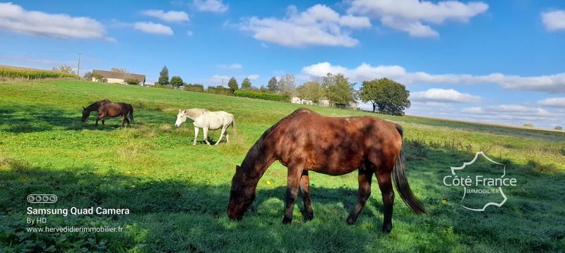 Ferme - 160 m² - 10 pièces