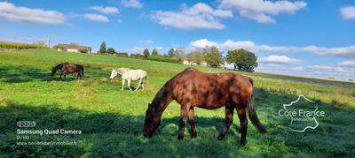 Ferme - 160 m² - 10 pièces