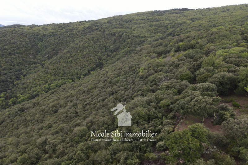 Terrain - 106 625 m²