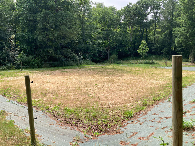 Terrain - 27 500 m²