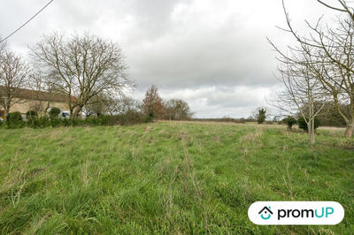 Terrain agricole - 7 200 m²