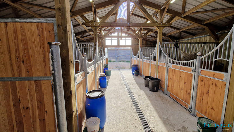 Villa - 239 m² - 7 pièces