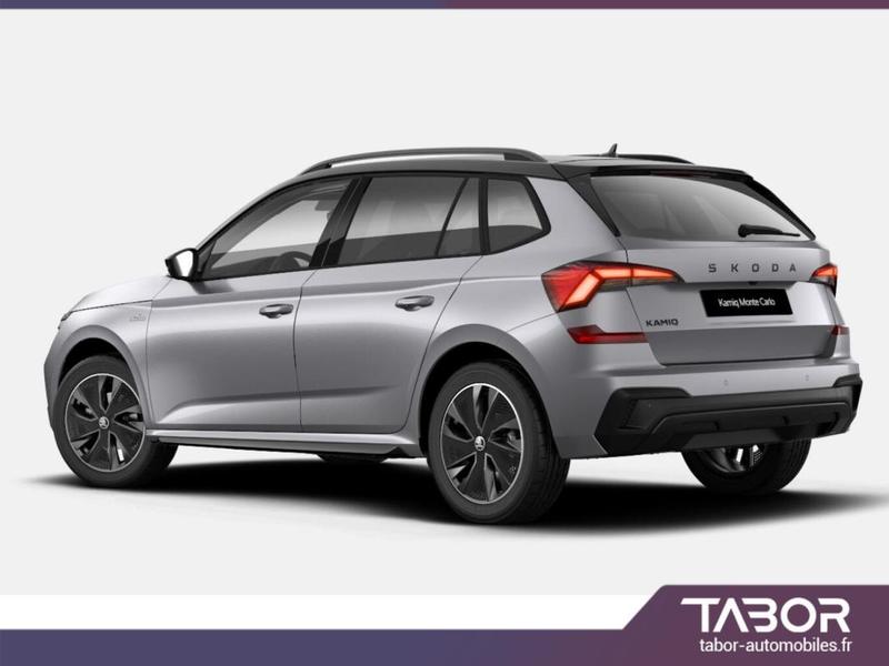 Skoda Kamiq 150 Monte Pano Matrix Gps Cam Kessy