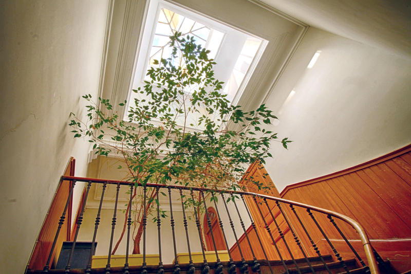 Appartement - 138 m² - 5 pièces