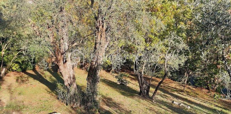 Propriété - 240 m² - 6 pièces