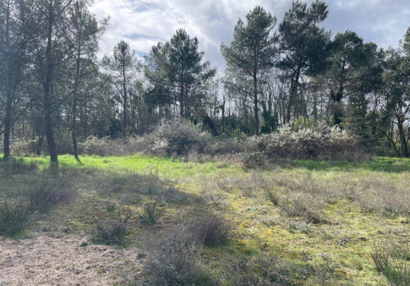 Terrain - 11 581 m²