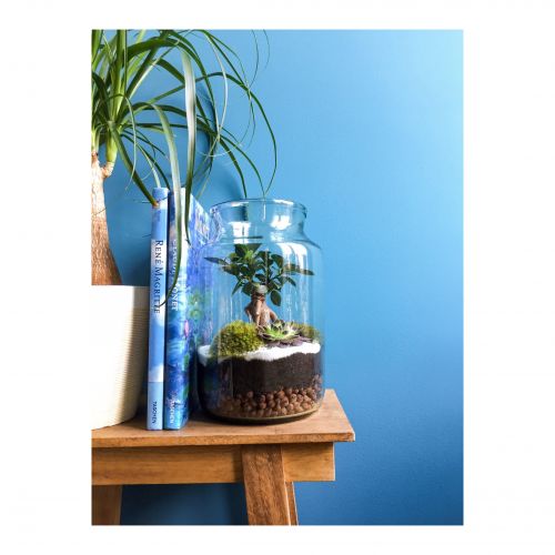 Les fleurs, c'est lui!!!