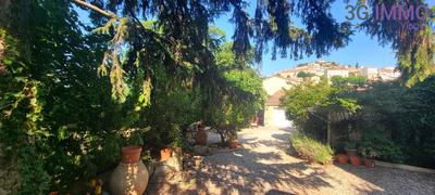 Viager - Maison - 300 m² - 8 pièces