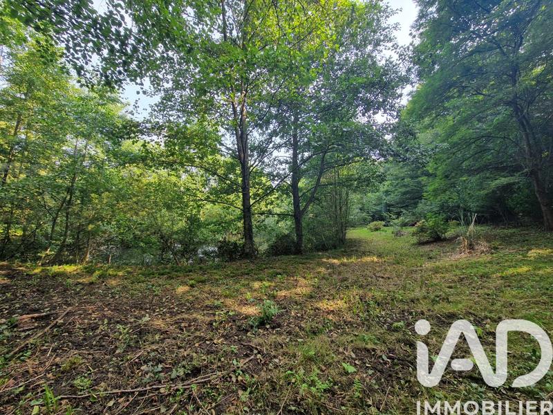 Terrain - 10 000 m²