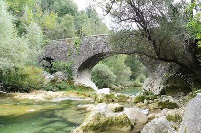 Terrain de loisirs - 12 450 m²