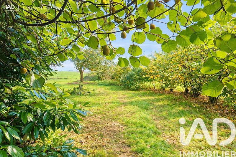 Maison - 140 m² - 7 pièces