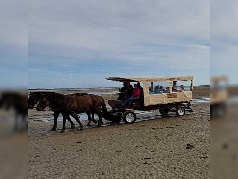 Découverte de la Pêcherie Maillard en calèche