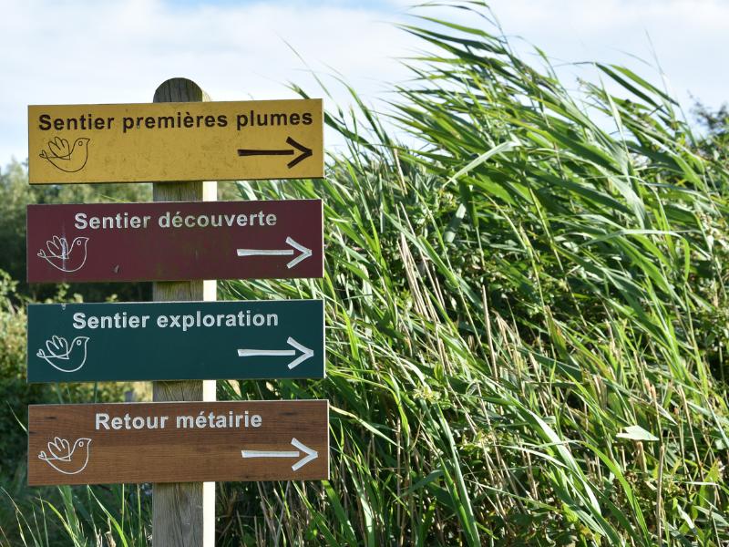 La Fête de la nature - Portes Ouvertes à Terres d'Oiseaux