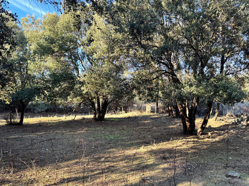 Propriété - 201 m² - 4 pièces