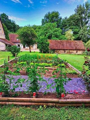 Propriété - 234 m² - 9 pièces