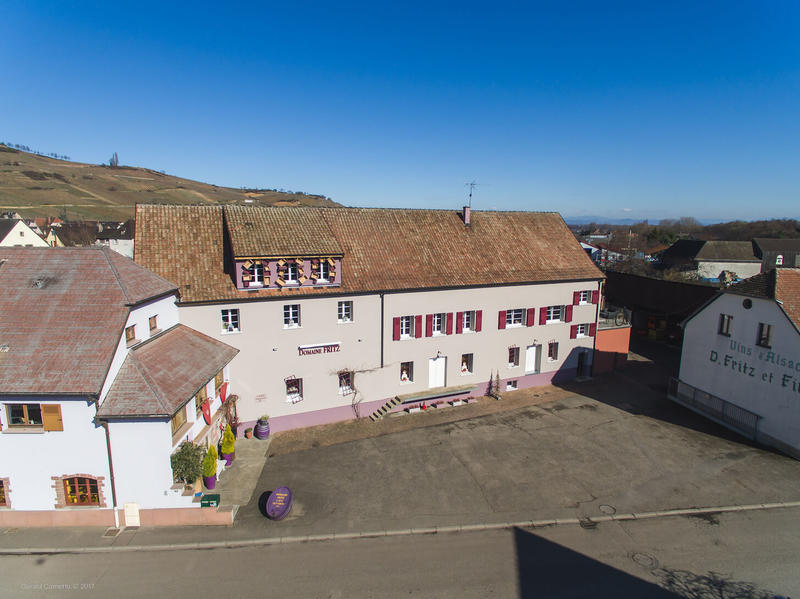 Visite de cave et dégustation commentée