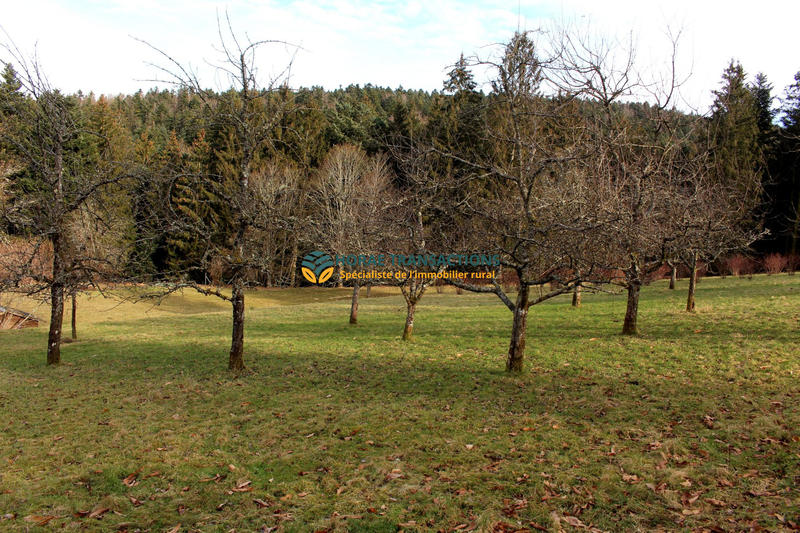 Maison - 323 m² - 15 pièces