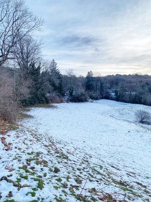 Terrain agricole - 54 640 m²