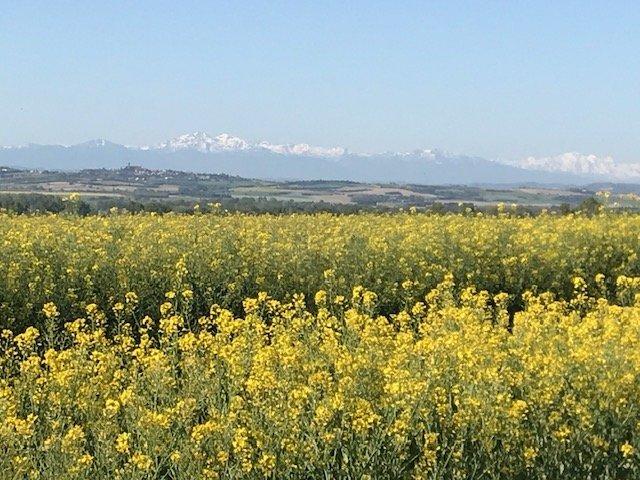 Maison - 409 m² - 17 pièces