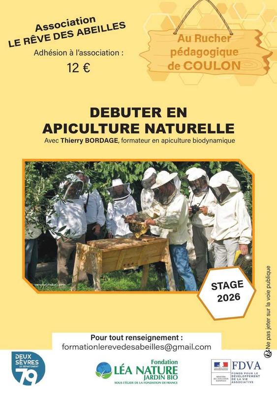 Stage en apiculture à Coulon