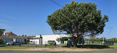 Local commercial - 262 m²