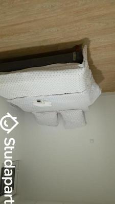 Maison - 20 m² - 1 pièce