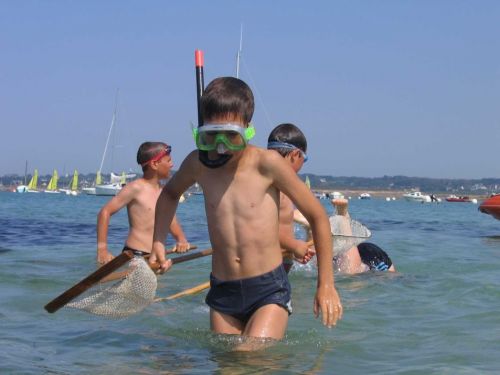 Camping Municipal de Landrellec