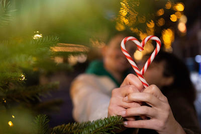 Illumination du sapin de Noël