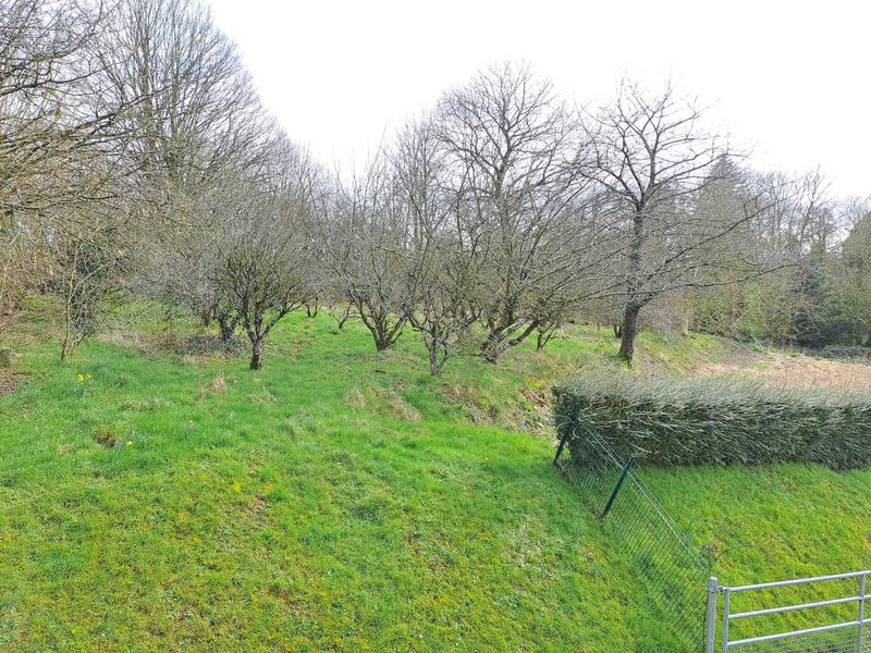 Maison ancienne - 160 m² - 6 pièces