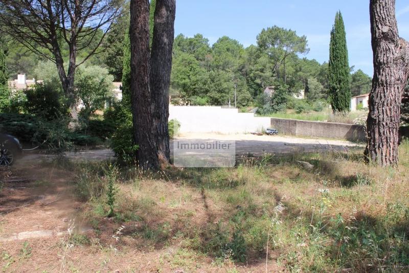 Terrain constructible - 1 203 m²