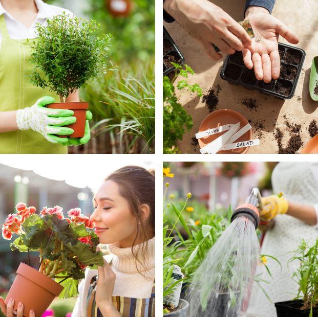 Les Jardins de Sologne