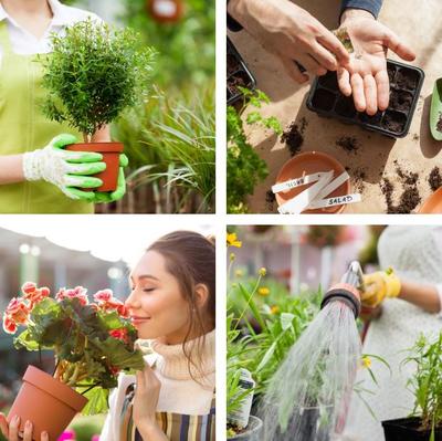 Les Jardins de Sologne