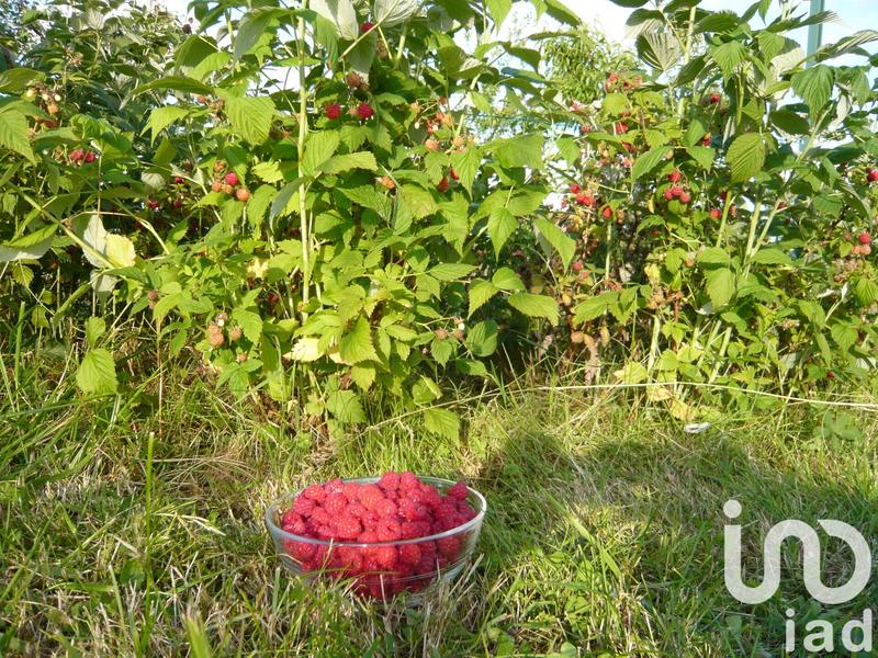 Maison - 215 m² - 8 pièces